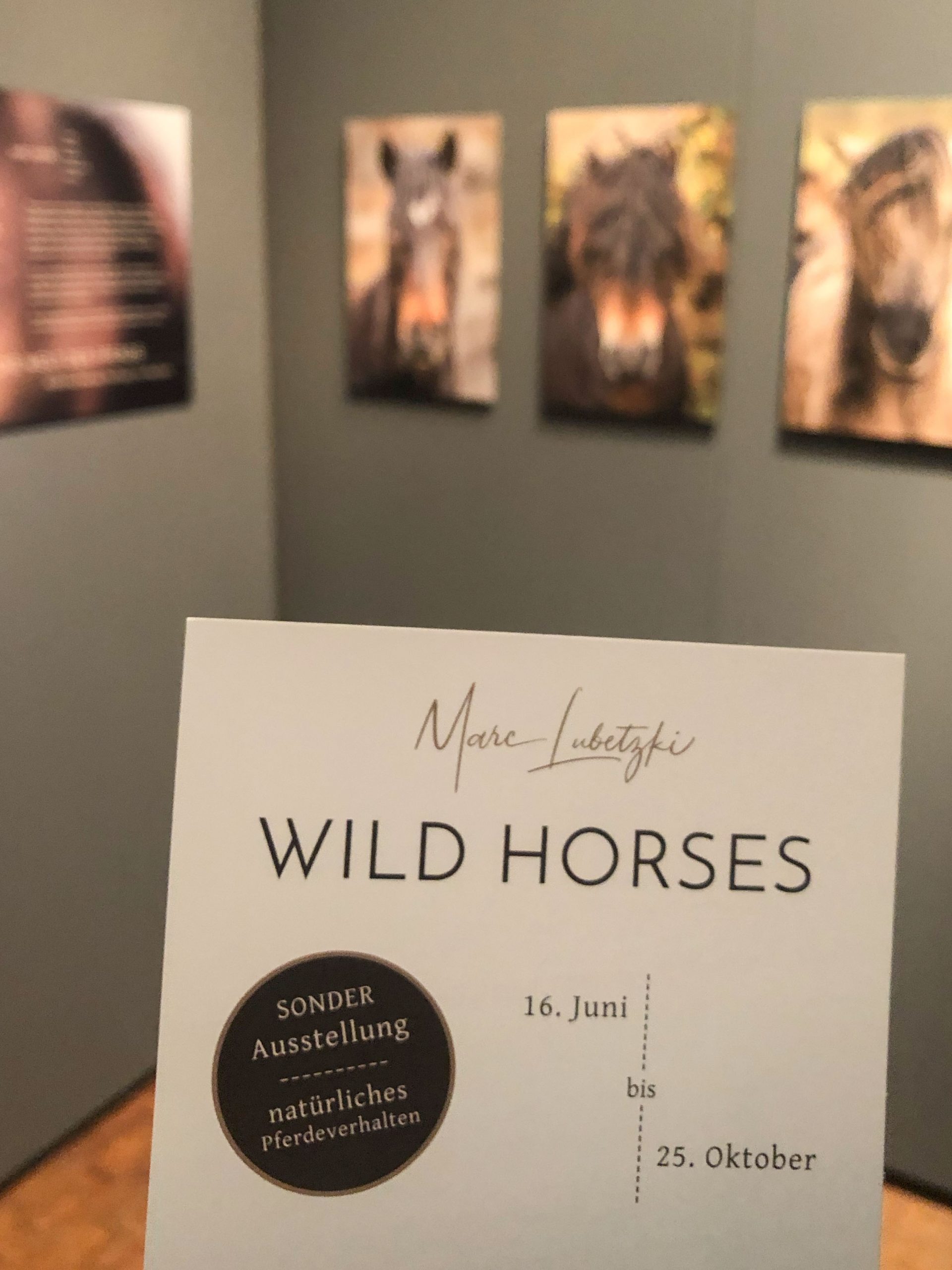 Marc Lubetzki - Wildpferde Sonderausstellung „Wild Horses“ im DEUTSCHEN PFERDEMUSEUM VERDEN