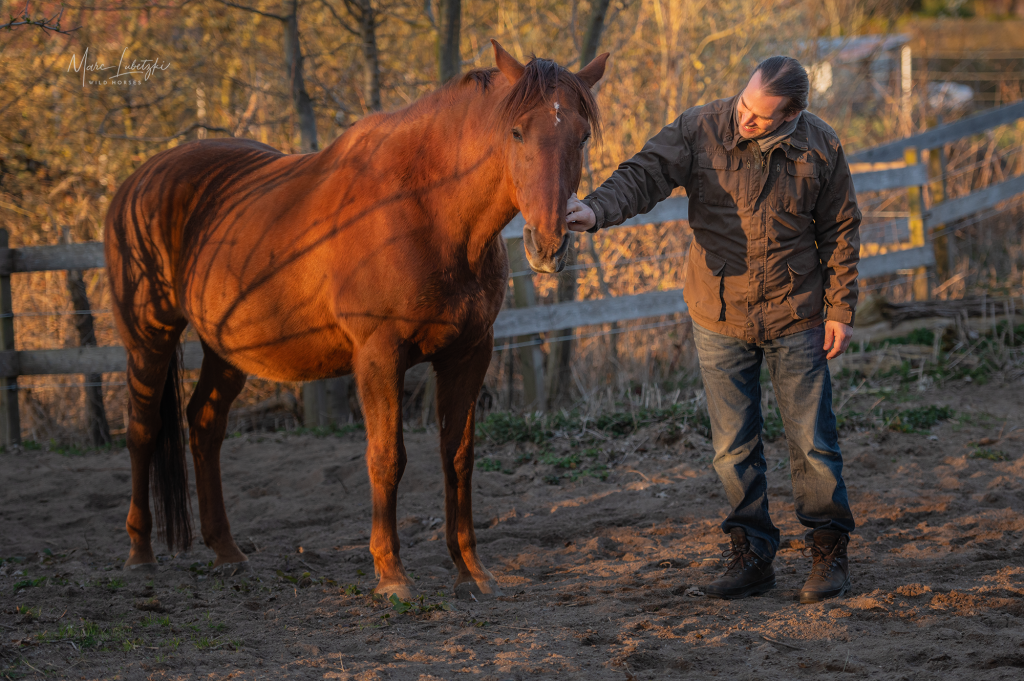 Körpersprache Pferd und Mensch