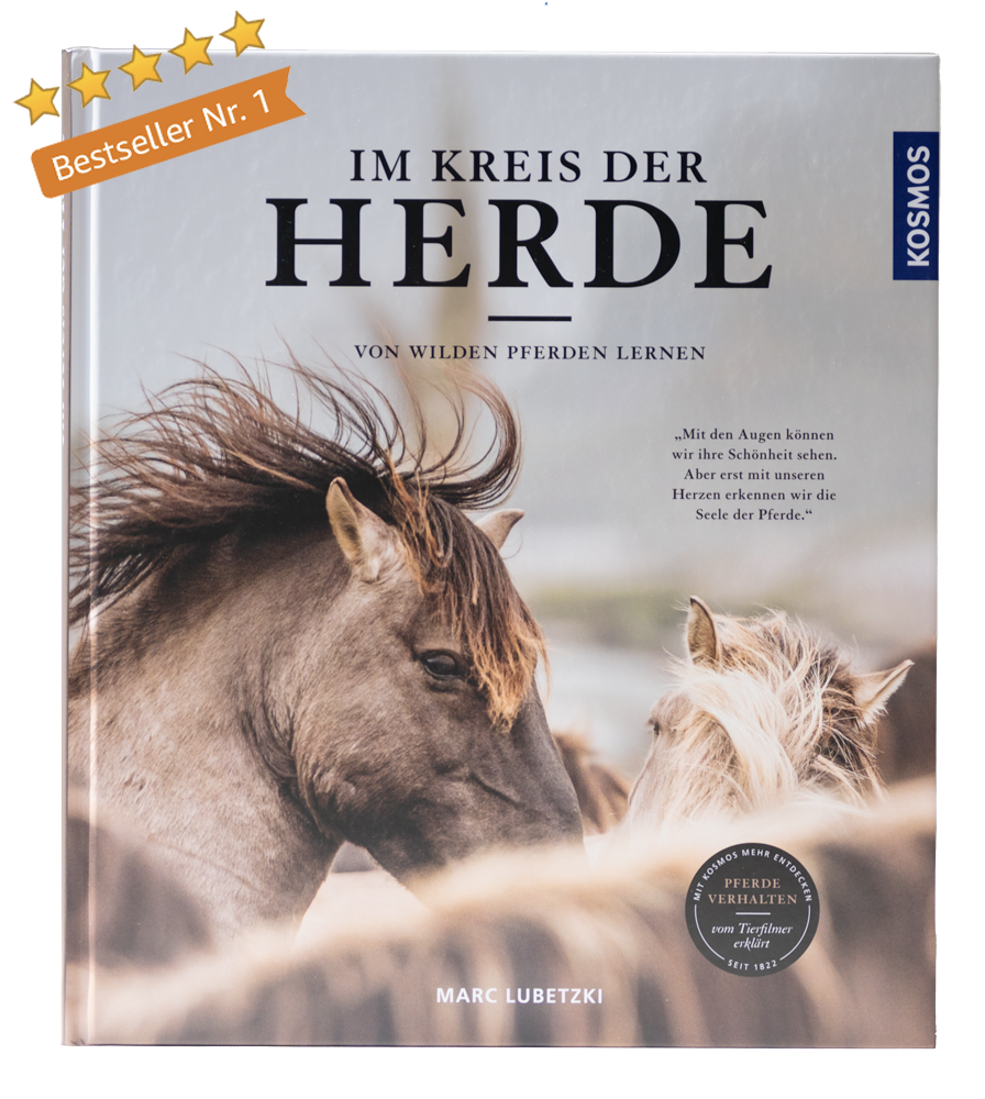 Bestseller "Im Kreis der Herde" - von Marc Lubetzki