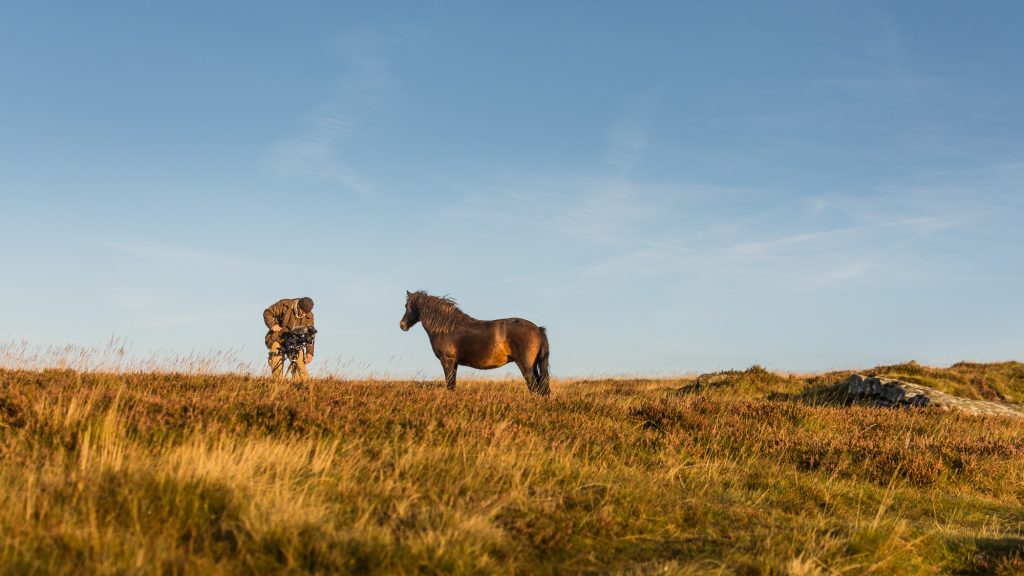 Marc bei Dreharbeiten und Wildpferde-Beobachtungen im Dartmoor
