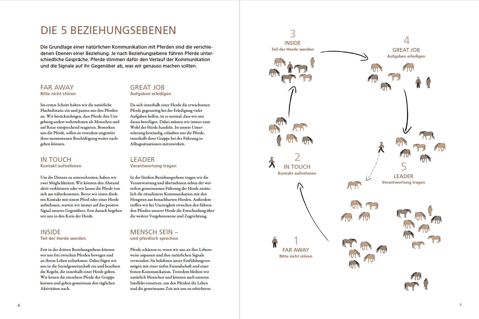 Marc Lubetzki - Wildpferde Buch - Im Gespräch mit wilden Pferden