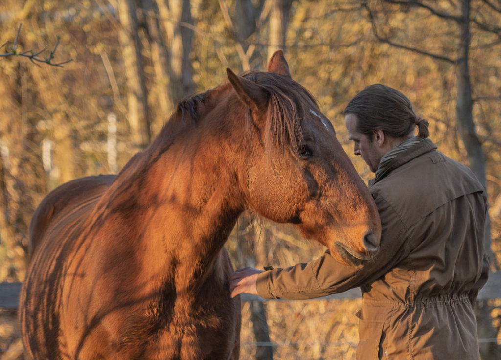 Marc Lubetzki - Wildpferde Über mich