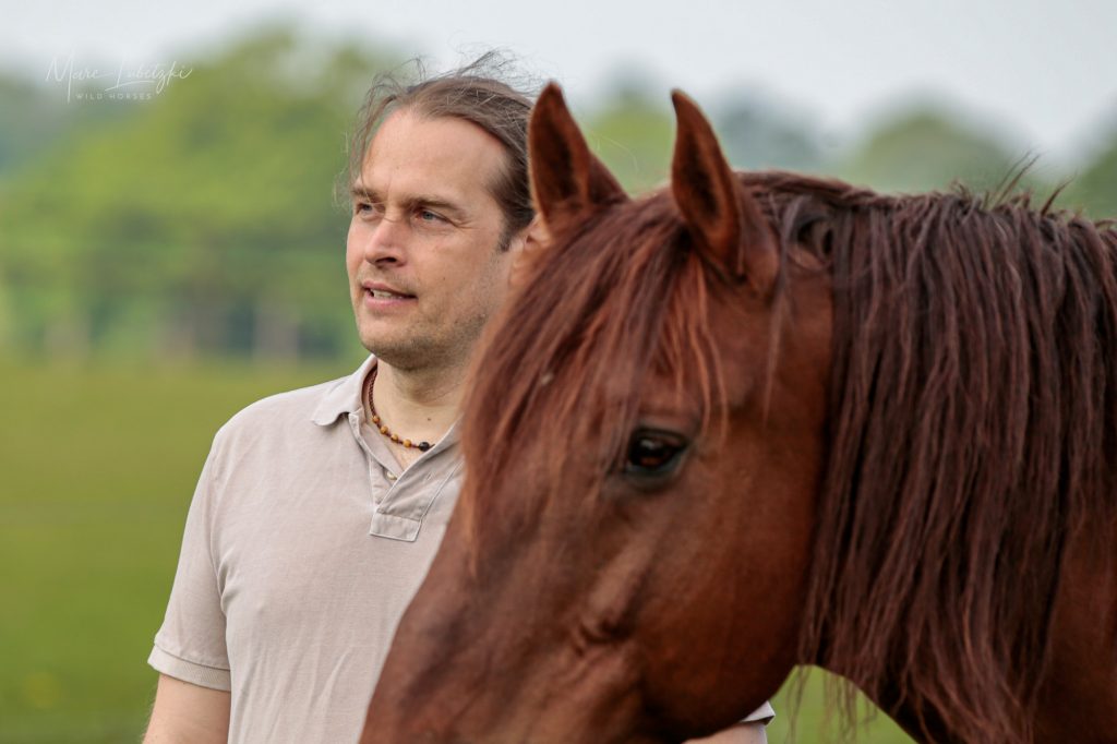 Welche Beziehung hast du zu deinem Pferd? 4 Pferd Mensch Beziehung