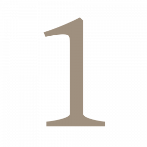 Akademische Reitkunst