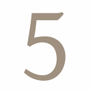 34+ Jahre eigene Pferdehaltung