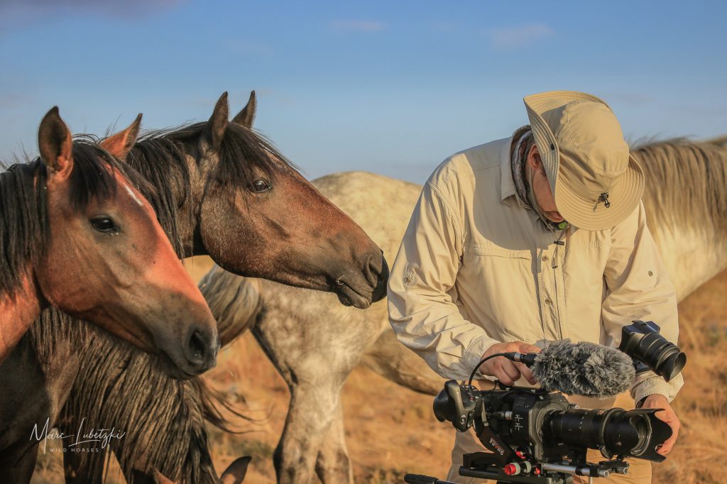 Marc Lubetzki - Wildpferde Über mich