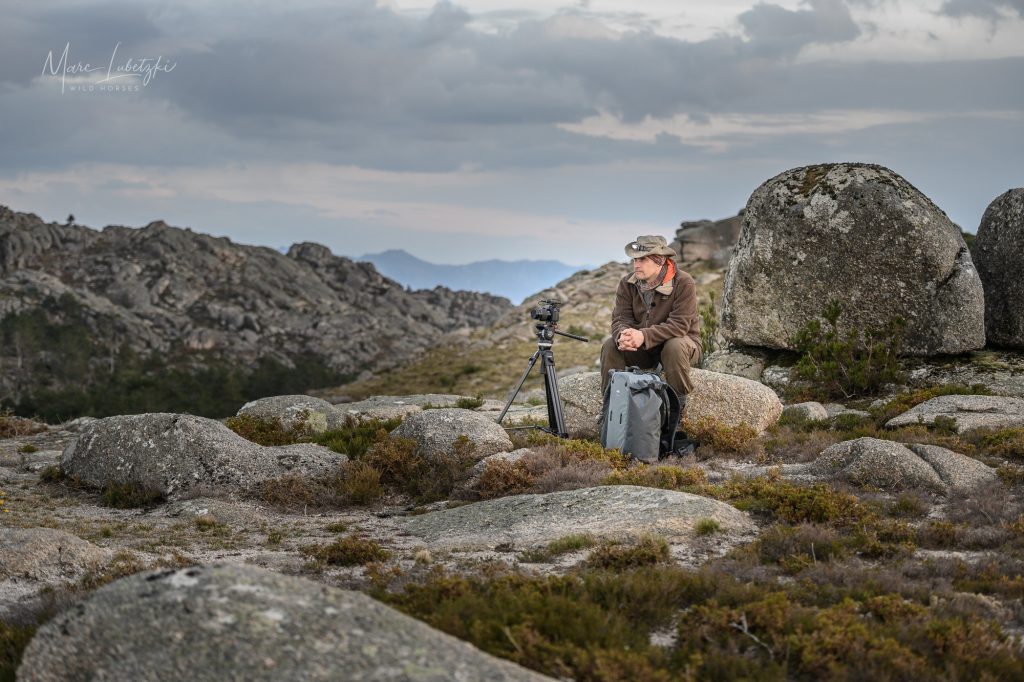 Marc Lubetzki - Wildpferde Über mich