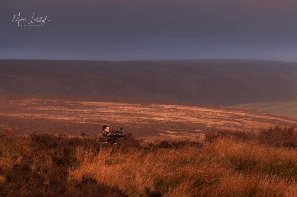 Marc Lubetzki - Wildpferde Über mich